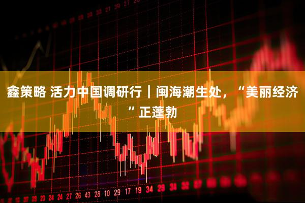 鑫策略 活力中国调研行｜闽海潮生处，“美丽经济”正蓬勃