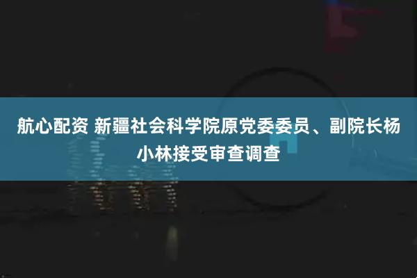 航心配资 新疆社会科学院原党委委员、副院长杨小林接受审查调查